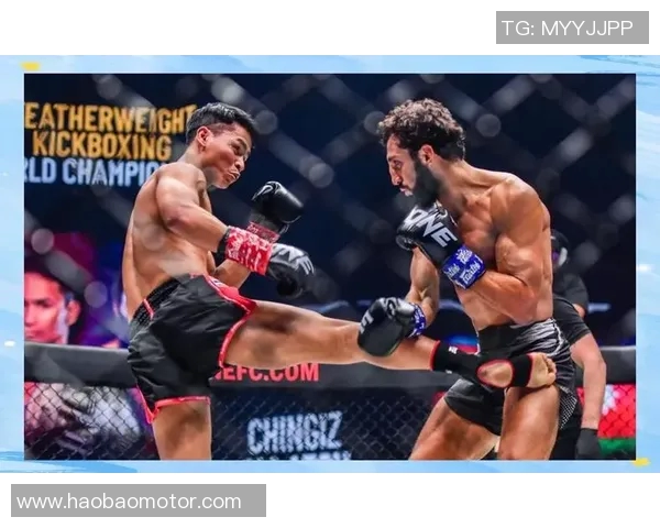 苏波邦的崛起与发展探索:从地方品牌到国际市场的成功之路 苏波邦的崛起与发展探索:从地方品牌到国际市场的成功之路