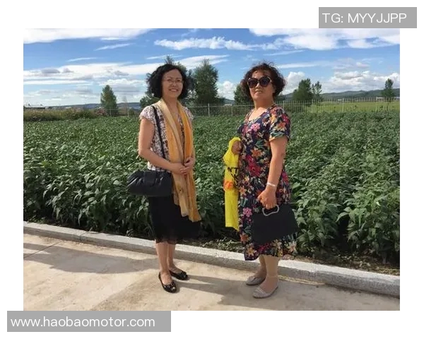 老男孩与圣马丁的对决：青春与梦想的碰撞与启示