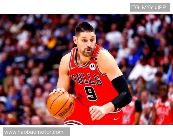 尼古拉武切维奇的艺术之旅与创作灵感探讨