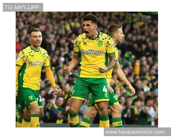 维冈对诺维奇精彩直播全程回顾及赛后分析