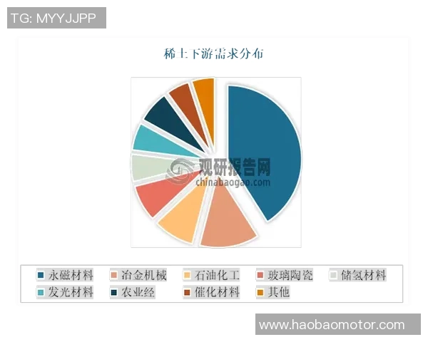 探索弗格的魅力与影响力揭示其在现代社会中的重要地位与价值