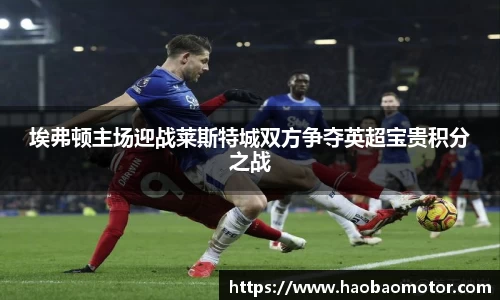 埃弗顿主场迎战莱斯特城双方争夺英超宝贵积分之战