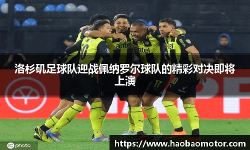 华体会hth平台