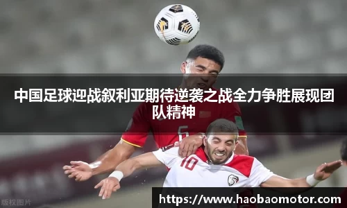 华体会hth官网首页